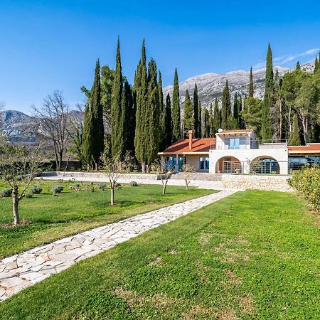 Villa Agave Gruda Exteriör bild
