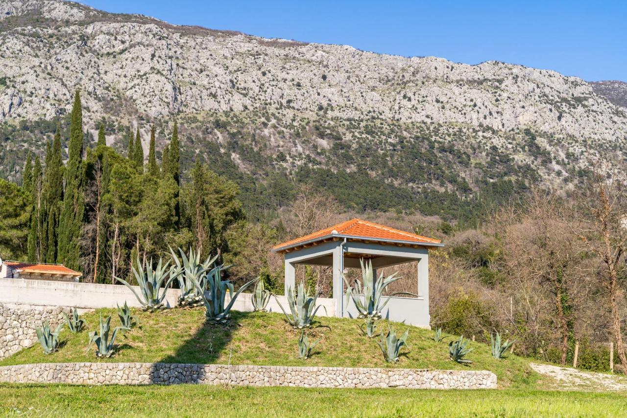 Villa Agave Gruda Exteriör bild