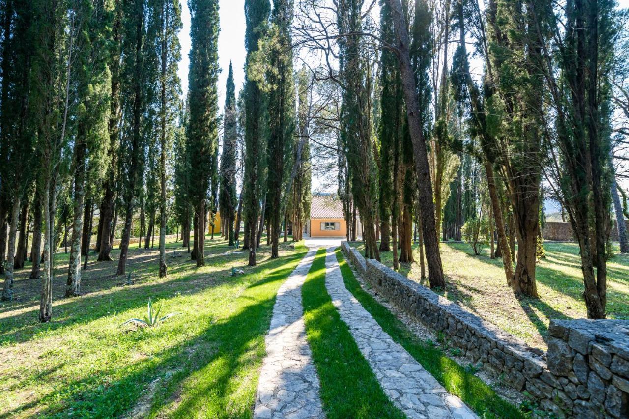 Villa Agave Gruda Exteriör bild