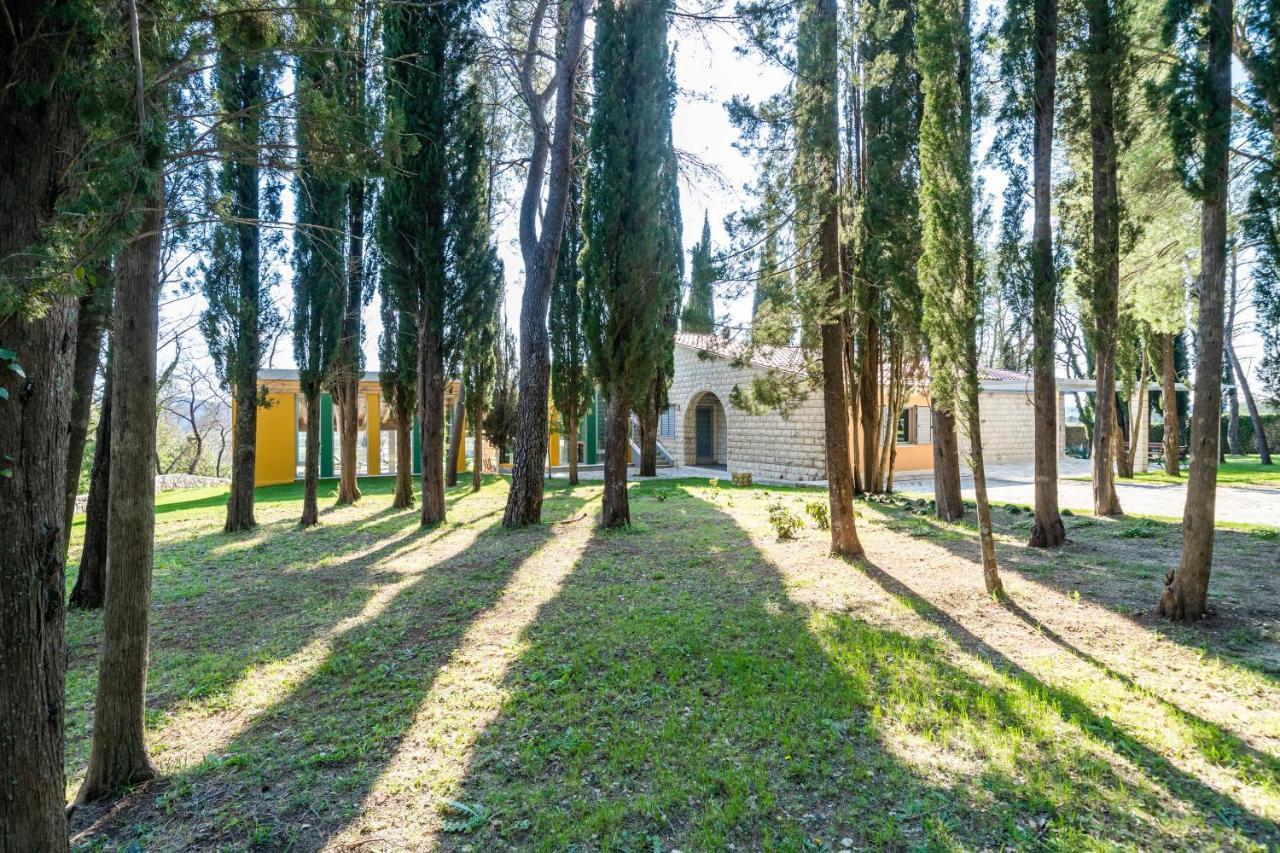 Villa Agave Gruda Exteriör bild