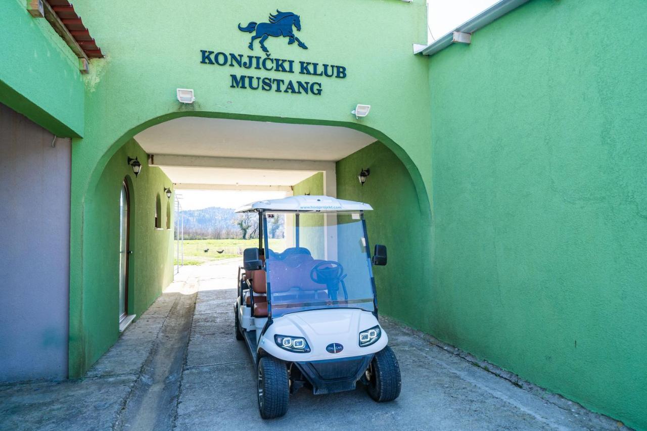Villa Agave Gruda Exteriör bild